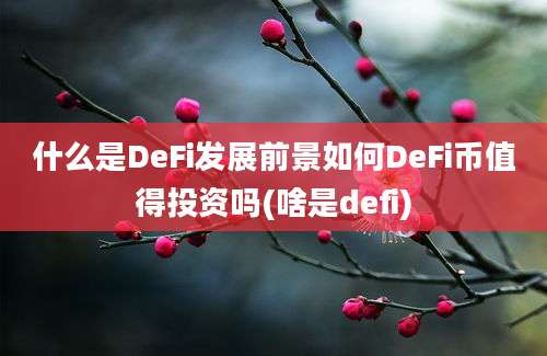 什么是DeFi发展前景如何DeFi币值得投资吗(啥是defi)