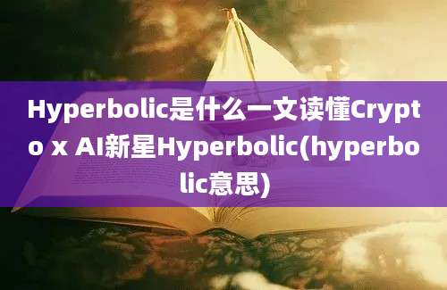 Hyperbolic是什么一文读懂Crypto x AI新星Hyperbolic(hyperbolic意思)