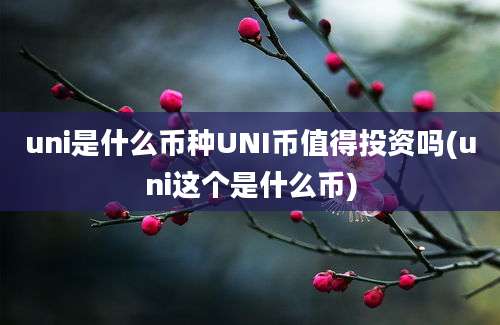 uni是什么币种UNI币值得投资吗(uni这个是什么币)