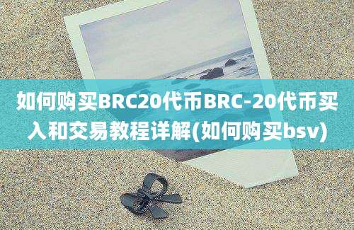 如何购买BRC20代币BRC-20代币买入和交易教程详解(如何购买bsv)