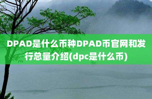 DPAD是什么币种DPAD币官网和发行总量介绍(dpc是什么币)