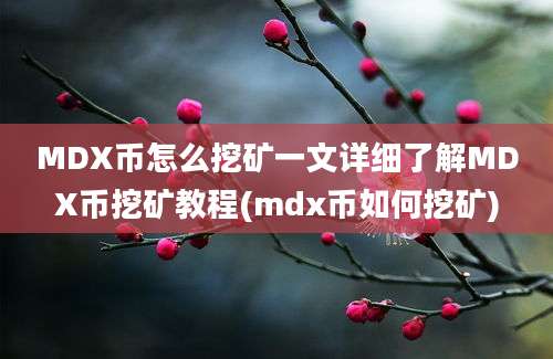 MDX币怎么挖矿一文详细了解MDX币挖矿教程(mdx币如何挖矿)