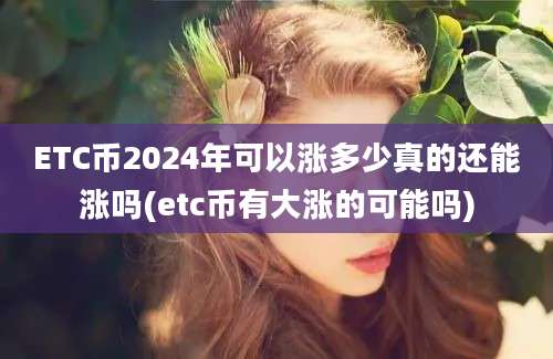 ETC币2024年可以涨多少真的还能涨吗(etc币有大涨的可能吗)