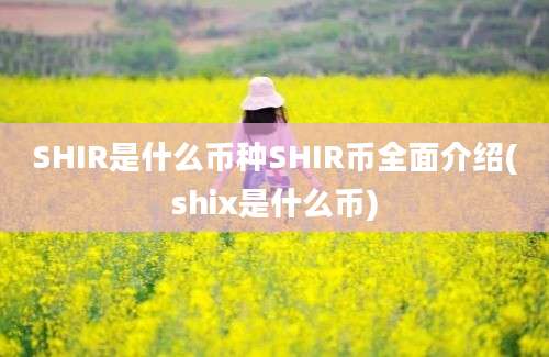 SHIR是什么币种SHIR币全面介绍(shix是什么币)