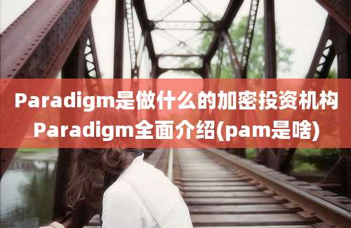 Paradigm是做什么的加密投资机构Paradigm全面介绍(pam是啥)