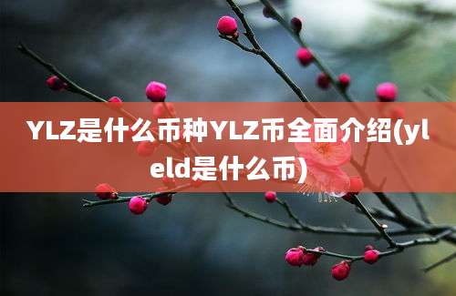 YLZ是什么币种YLZ币全面介绍(yleld是什么币)