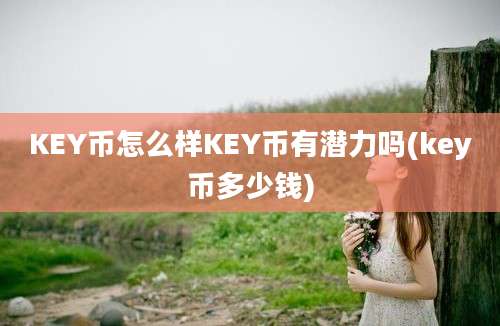 KEY币怎么样KEY币有潜力吗(key币多少钱)