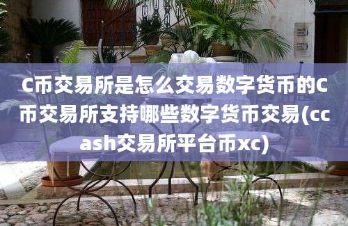 C币交易所是怎么交易数字货币的C币交易所支持哪些数字货币交易(ccash交易所平台币xc)