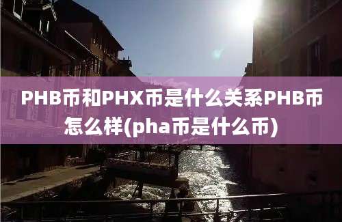 PHB币和PHX币是什么关系PHB币怎么样(pha币是什么币)