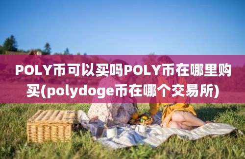 POLY币可以买吗POLY币在哪里购买(polydoge币在哪个交易所)