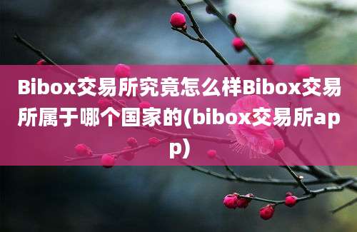 Bibox交易所究竟怎么样Bibox交易所属于哪个国家的(bibox交易所app)