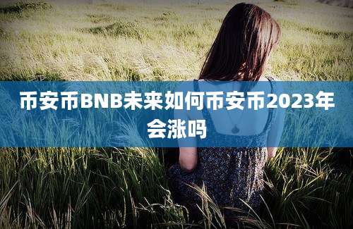 币安币BNB未来如何币安币2023年会涨吗