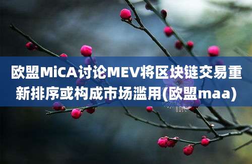 欧盟MiCA讨论MEV将区块链交易重新排序或构成市场滥用(欧盟maa)