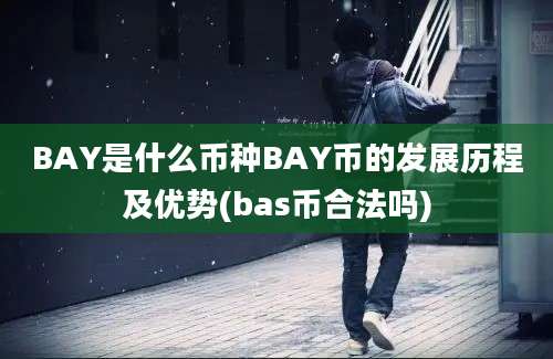 BAY是什么币种BAY币的发展历程及优势(bas币合法吗)