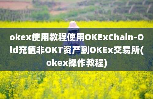 okex使用教程使用OKExChain-Old充值非OKT资产到OKEx交易所(okex操作教程)