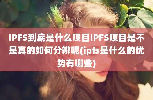 IPFS到底是什么项目IPFS项目是不是真的如何分辨呢(ipfs是什么的优势有哪些)