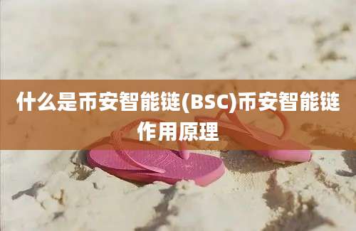 什么是币安智能链(BSC)币安智能链作用原理