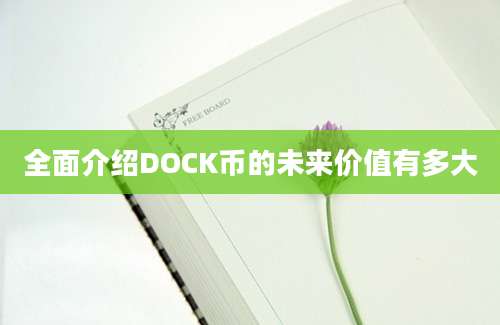 全面介绍DOCK币的未来价值有多大