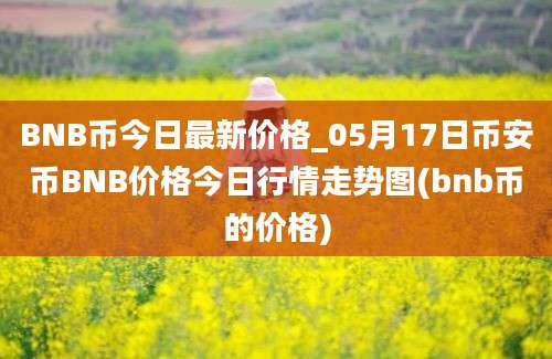 BNB币今日最新价格_05月17日币安币BNB价格今日行情走势图(bnb币的价格)