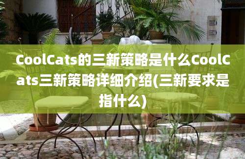 CoolCats的三新策略是什么CoolCats三新策略详细介绍(三新要求是指什么)