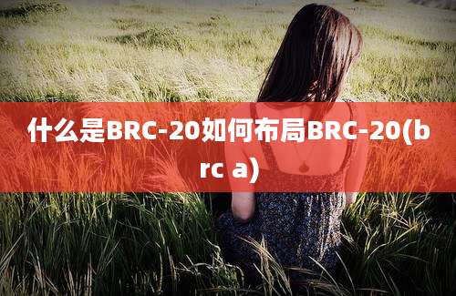 什么是BRC-20如何布局BRC-20(brc a)