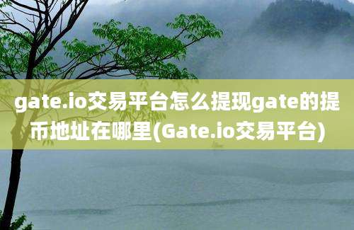 gate.io交易平台怎么提现gate的提币地址在哪里(Gate.io交易平台)