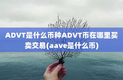 ADVT是什么币种ADVT币在哪里买卖交易(aave是什么币)