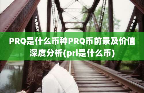 PRQ是什么币种PRQ币前景及价值深度分析(pri是什么币)