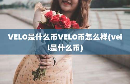 VELO是什么币VELO币怎么样(veil是什么币)