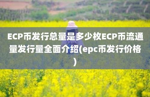 ECP币发行总量是多少枚ECP币流通量发行量全面介绍(epc币发行价格)