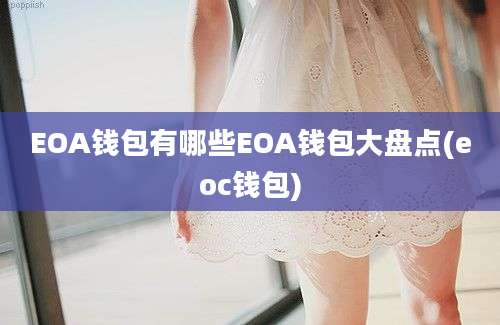 EOA钱包有哪些EOA钱包大盘点(eoc钱包)