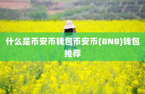 什么是币安币钱包币安币(BNB)钱包推荐