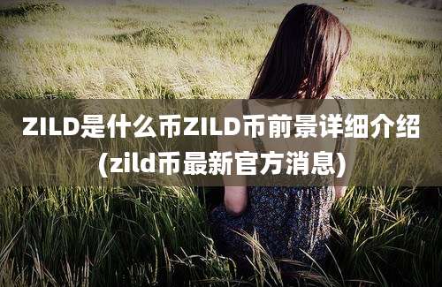 ZILD是什么币ZILD币前景详细介绍(zild币最新官方消息)