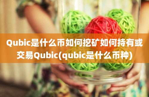 Qubic是什么币如何挖矿如何持有或交易Qubic(qubic是什么币种)