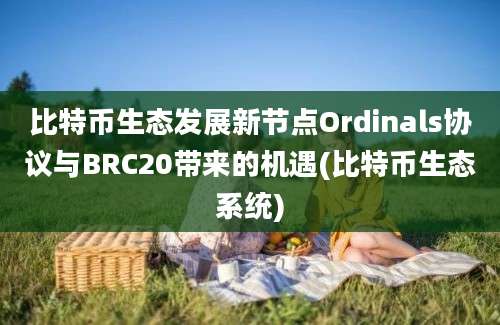 比特币生态发展新节点Ordinals协议与BRC20带来的机遇(比特币生态系统)