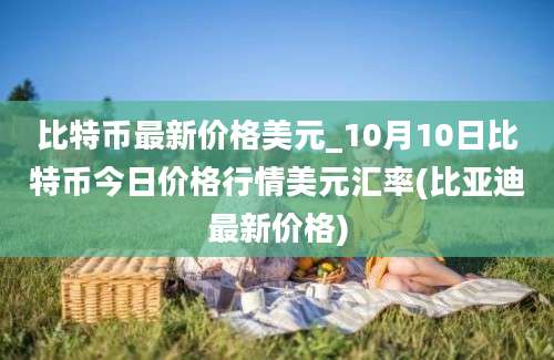 比特币最新价格美元_10月10日比特币今日价格行情美元汇率(比亚迪最新价格)