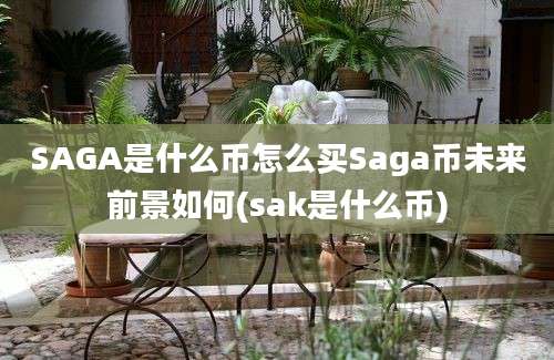 SAGA是什么币怎么买Saga币未来前景如何(sak是什么币)