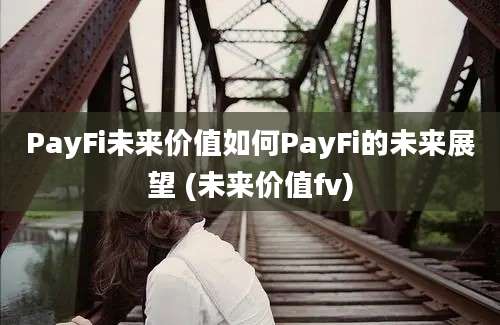 PayFi未来价值如何PayFi的未来展望 (未来价值fv)