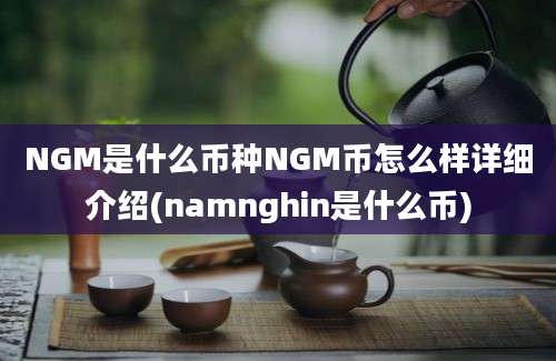 NGM是什么币种NGM币怎么样详细介绍(namnghin是什么币)