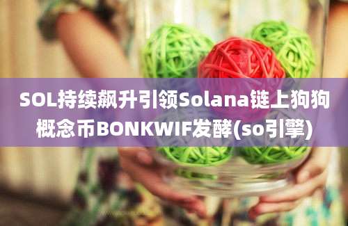 SOL持续飙升引领Solana链上狗狗概念币BONKWIF发酵(so引擎)