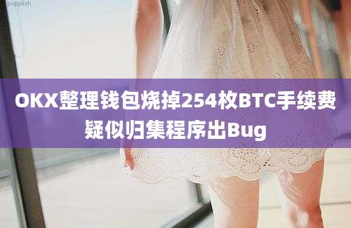 OKX整理钱包烧掉254枚BTC手续费疑似归集程序出Bug