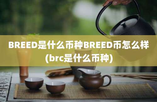 BREED是什么币种BREED币怎么样(brc是什么币种)