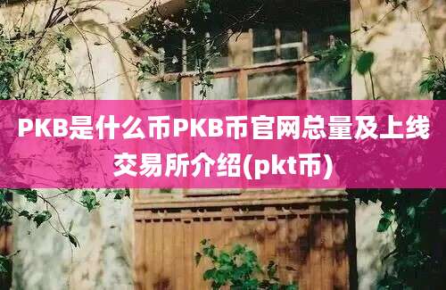 PKB是什么币PKB币官网总量及上线交易所介绍(pkt币)