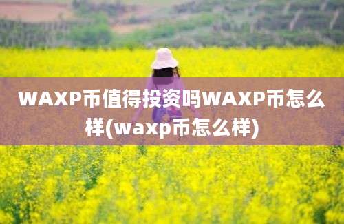 WAXP币值得投资吗WAXP币怎么样(waxp币怎么样)