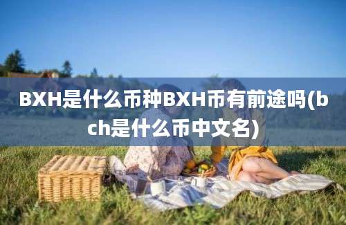 BXH是什么币种BXH币有前途吗(bch是什么币中文名)