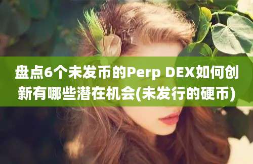 盘点6个未发币的Perp DEX如何创新有哪些潜在机会(未发行的硬币)