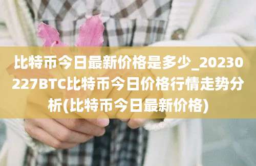 比特币今日最新价格是多少_20230227BTC比特币今日价格行情走势分析(比特币今日最新价格)