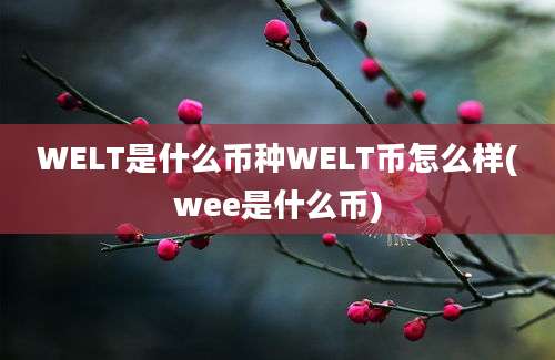 WELT是什么币种WELT币怎么样(wee是什么币)