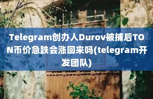 Telegram创办人Durov被捕后TON币价急跌会涨回来吗(telegram开发团队)