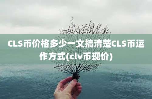 CLS币价格多少一文搞清楚CLS币运作方式(clv币现价)